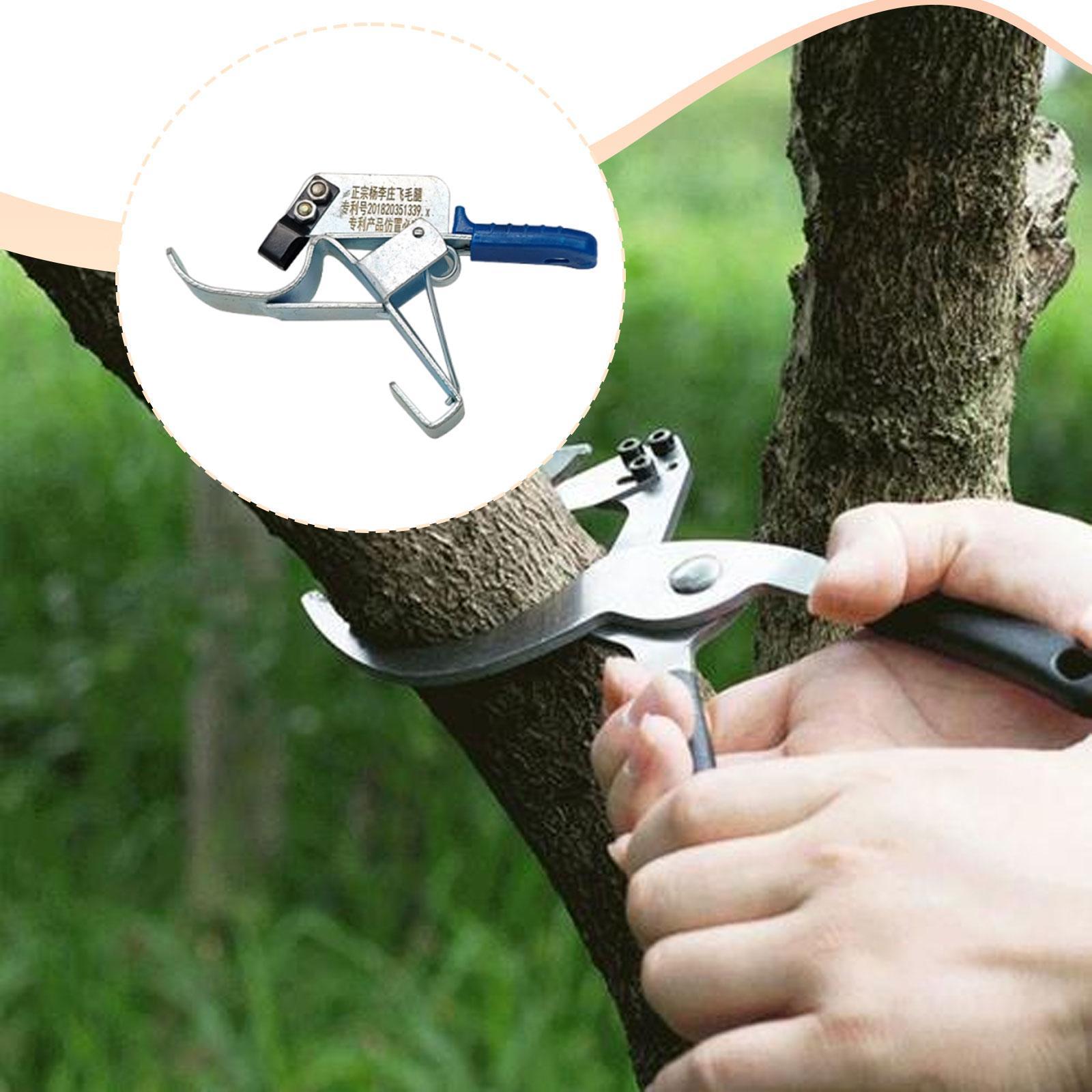أداة تثبيت جذوع أشجار الفاكهة، - مراجعة Gardening Tools Essential وسعره