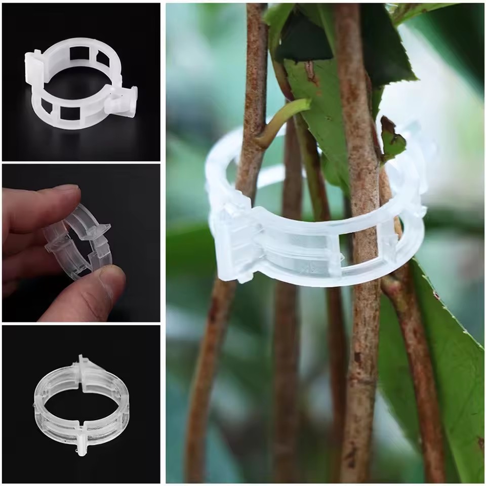 20 قطعة من مشابك دعم النباتات، - مراجعة Gardening Tools Vegetables وسعره