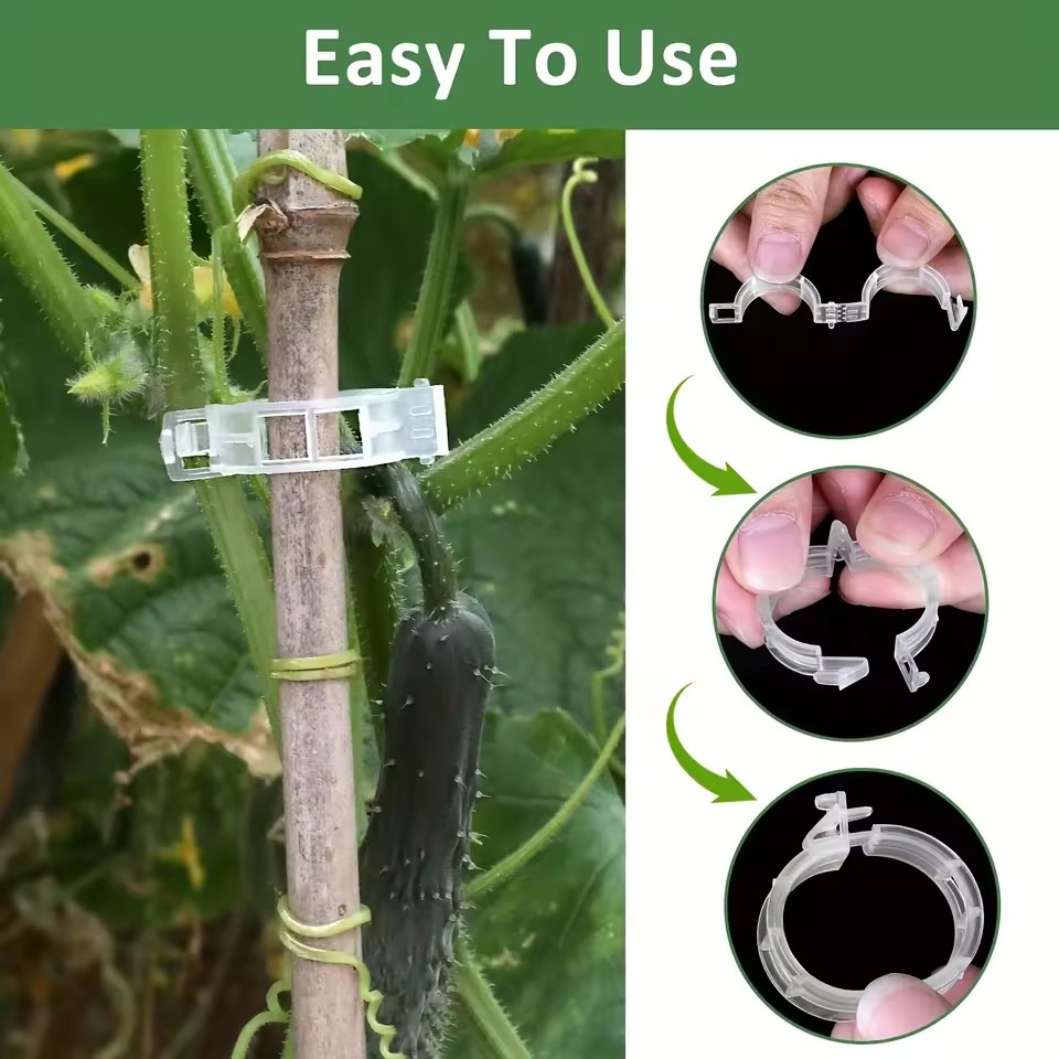 20 قطعة من مشابك دعم النباتات، - مراجعة Gardening Tools Vegetables وسعره