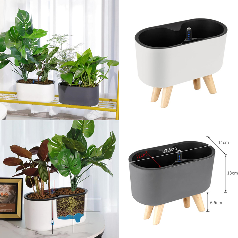 نبات داخلي مع مؤشر خشبي الساق  - مراجعة Automatic Plant Waterer وسعره