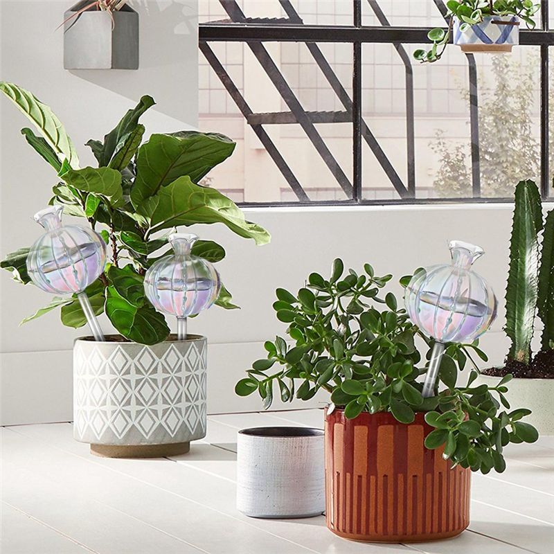 AA94-مصابيح سقي النباتات، كرات - مراجعة Self-Watering Planter وسعره